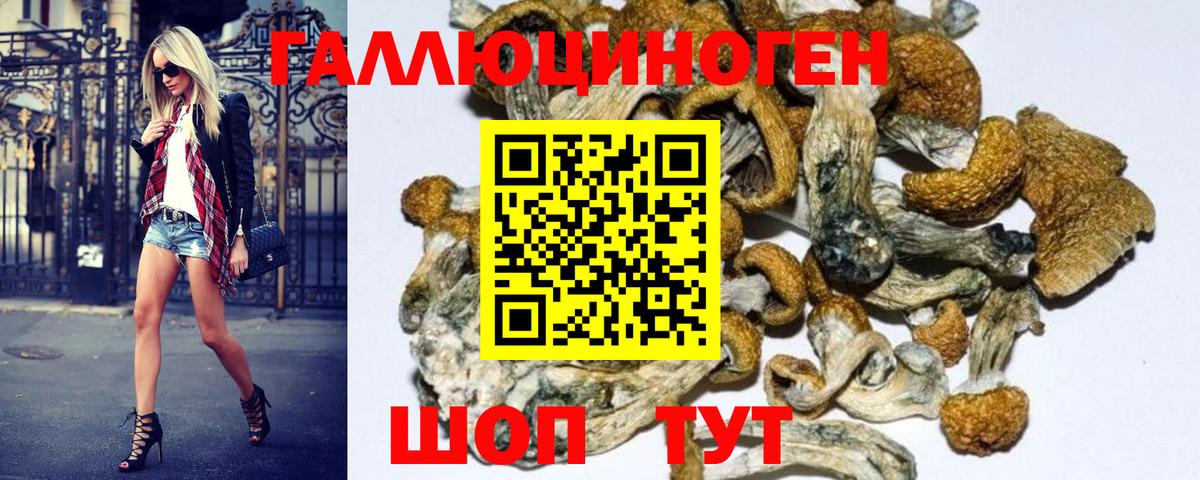 наркота  Вход с VPN  Симферополь  Галлюциногенные грибы GOLDEN TEACHER 